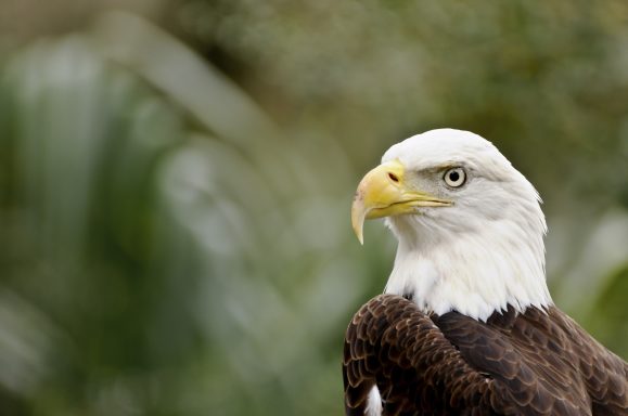 lassen wir uns Inspirieren und sammeln